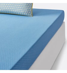 Drap housse coton La Redoute Interieurs