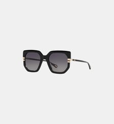 Lunettes de soleil Papillon CH0240S Chloé