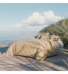 Pack Housse De Couette + Taie(s) D'oreiller Le Zebre Anne de Solène