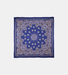 Grand foulard à motifs PAISLEY Wild
