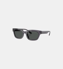 Lunettes de soleil Irrégulier EA4233U Emporio Armani