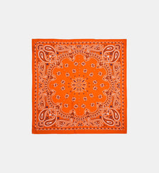 Foulard medium à motifs PAISLEY Wild
