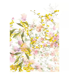 Torchon lin & coton lavé 190 g/m² imprimé multicolore Mimosas floraison Garnier Thiebaut