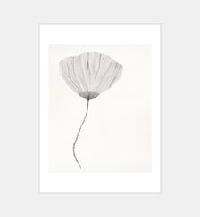 Poster   Poppy - The Poster Club x Ana Frois Poster & Frame