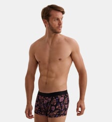 Boxer Aubade