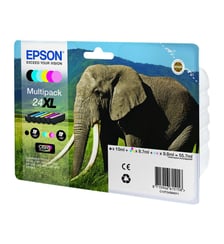 Cartouche d'encre N°24 XL Pack 6 cartouches Epson