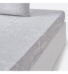 Drap-housse satin de coton La Redoute Interieurs