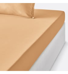 Drap housse enfant en percale de coton, 80 fils La Redoute Interieurs