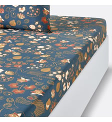 Drap housse percale de coton La Redoute Interieurs
