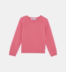 Pull -   laine broderies fleurs Tartine Et Chocolat