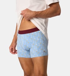 Boxer Land sailer en coton biologique Billybelt