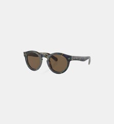 Lunettes de soleil Pantos PH4165 Polo Ralph Lauren