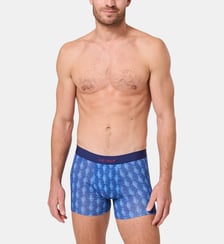 Boxer - Pacifique Arthur