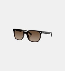 Lunettes de soleil Carré RB4466D Ray Ban
