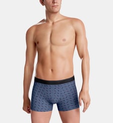 Pack 2 boxers en coton modal Impetus