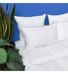 Oreiller MEDIUM 40% Duvet - coton Bio - Lupin Wake Me Green