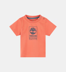 T-shirt pressionné Timberland