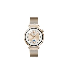 Montre connectée Watch GT5 41mm Or Huawei
