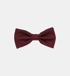 Nœud papillon Pas de manchon Seidensticker
