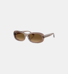 Lunettes de soleil Ovale RB2221 Ray Ban