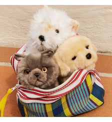 Peluche Bt Chaps