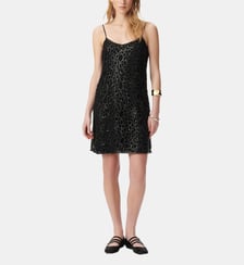Robe courte dentelle brodée sequins Ikks