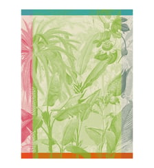 Torchon Équateur Le Jacquard Francais