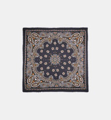 Grand foulard à motifs PAISLEY Wild