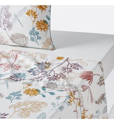 Drap plat percale de coton La Redoute Interieurs