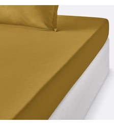Drap housse enfant en percale de coton, 80 fils La Redoute Interieurs