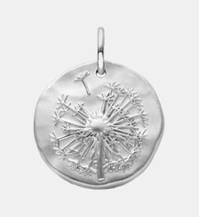 Médaille Argent Le Pissenlit Arthus Bertrand