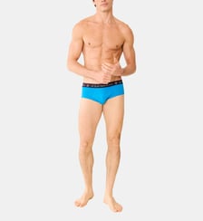 Slip en coton Le Slip Francais