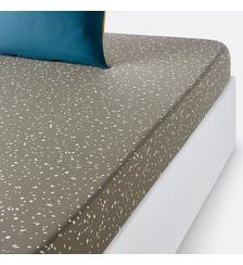 Drap-housse coton La Redoute Interieurs