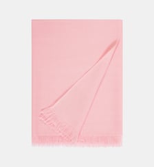 Etole en voile Bompard
