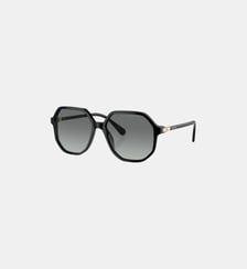 Lunettes de soleil Irrégulier SK6003 Swarovski