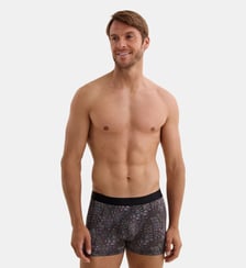 Boxer Aubade