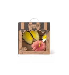 Pack nouveau-né Papillon Oli & Carol
