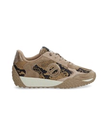 KATE SNEAKER W SNAKE KISS SABLE - Collier orné de Cristaux Swarovski® inclus No Name