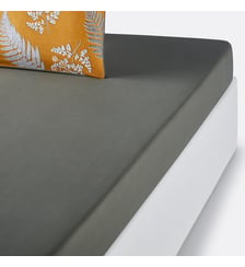 Drap housse percale de coton La Redoute Interieurs