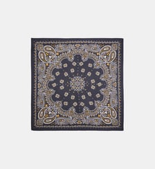Foulard medium à motifs PAISLEY Wild