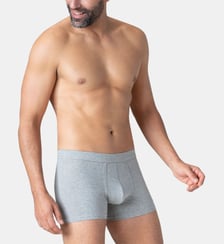 Boxer  FUSION Eminence