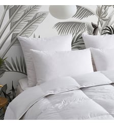 Oreiller FERME 10% Duvet - Coton Bio - Marcel Wake Me Green