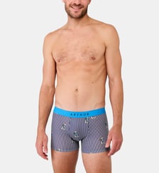 Boxer - Randormeur Arthur
