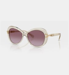 Lunettes de soleil Papillon SK6026 Swarovski