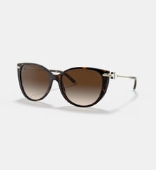 Lunettes de soleil Œil de chat TF4178 Tiffany & Co