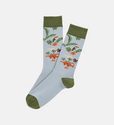 Chaussettes en coton - Van Life Ciel Arthur