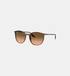 Lunettes de soleil Pantos RB2204 Ray Ban