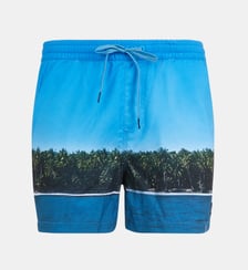 Short de bain palmiers suspensoir Quiksilver