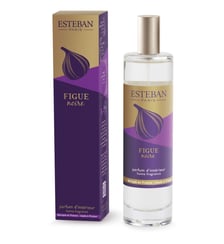 Vaporisateur d'ambiance Esteban Paris Parfums