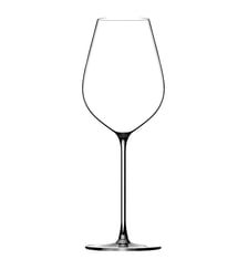 Boite de 6 verres à pied Hommage 45 cl Lehmann